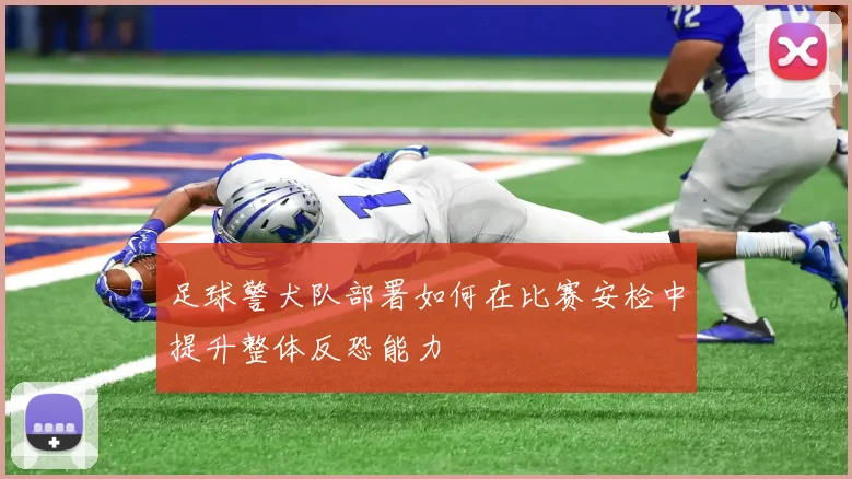 足球警犬队部署如何在比赛安检中提升整体反恐能力