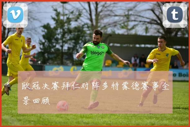 欧冠决赛拜仁对阵多特蒙德赛事全景回顾