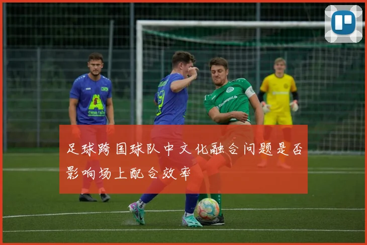 足球跨国球队中文化融合问题是否影响场上配合效率